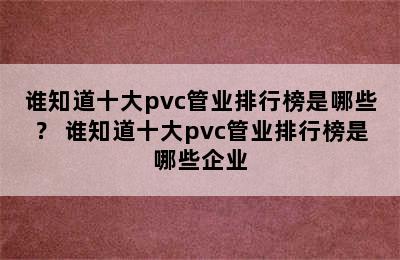 谁知道十大pvc管业排行榜是哪些？ 谁知道十大pvc管业排行榜是哪些企业